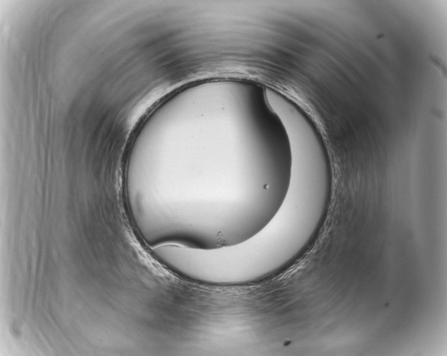 X0000099400944200805291207