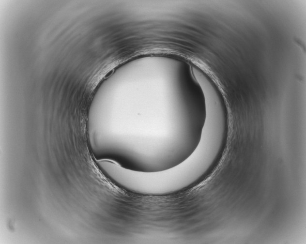 X0000099400945200805291207