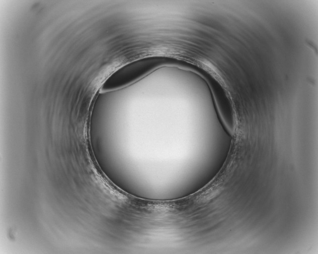 X0000099400946200805291207