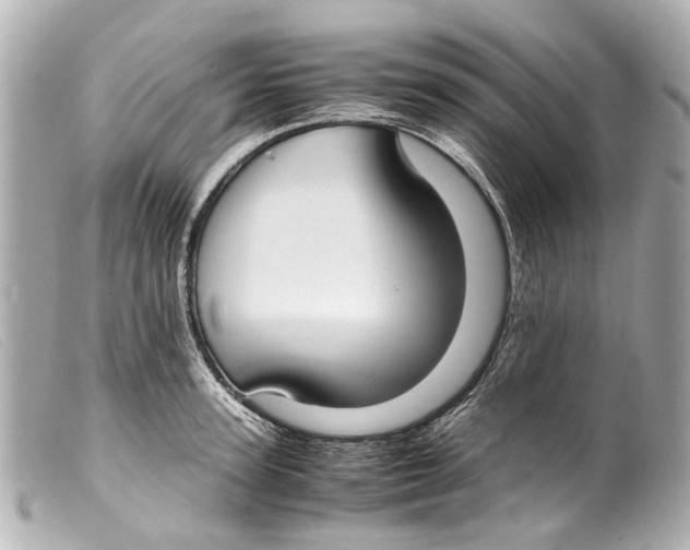 X0000099400947200805291207