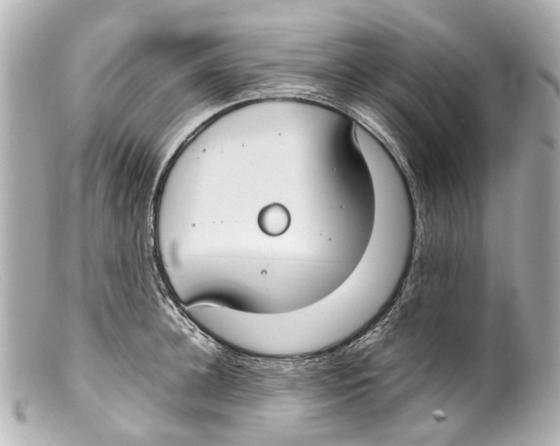 X0000099400948200805291207