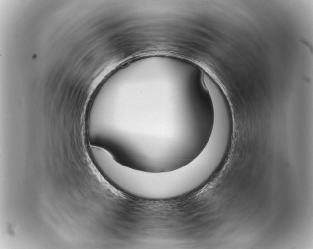 X0000099400949200805291207