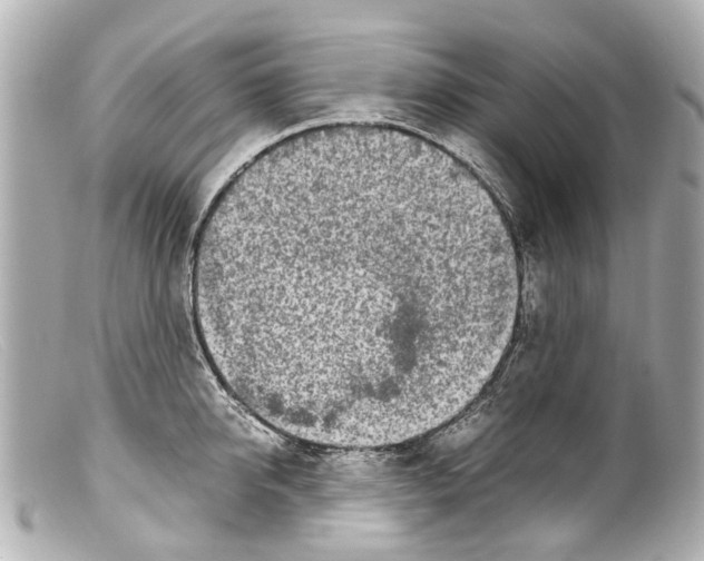 X0000099400950200805291207