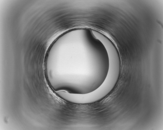 X0000099400951200805291207