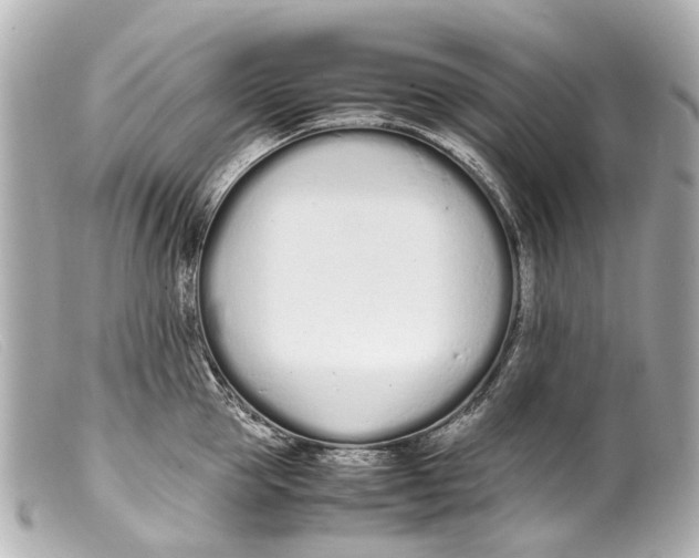 X0000099400953200805291207