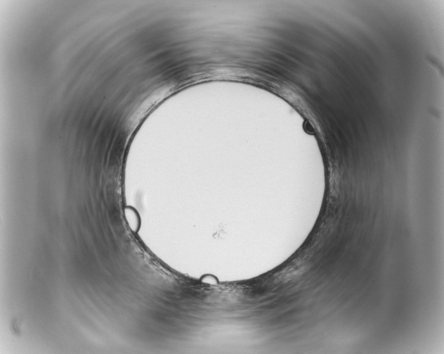 X0000099400954200805291207