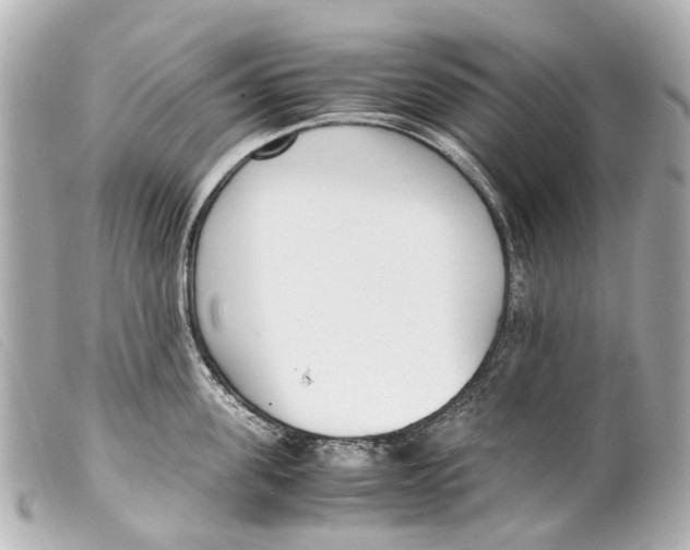 X0000099400955200805291207