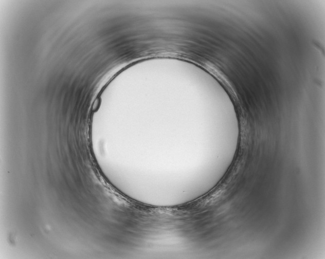 X0000099400956200805291207