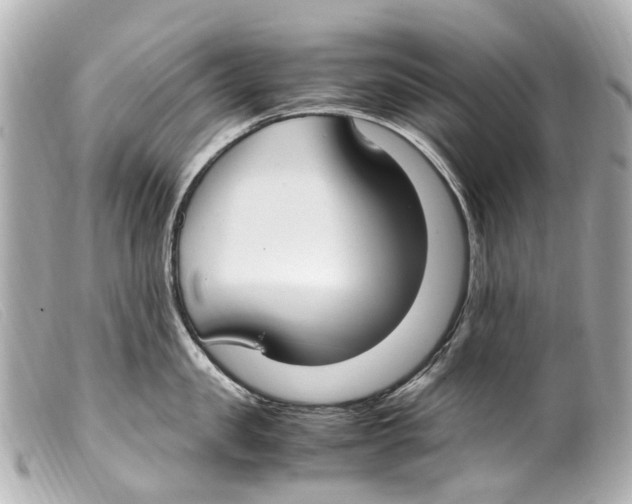 X0000099400957200805291207