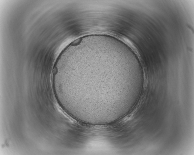 X0000099400958200805291207