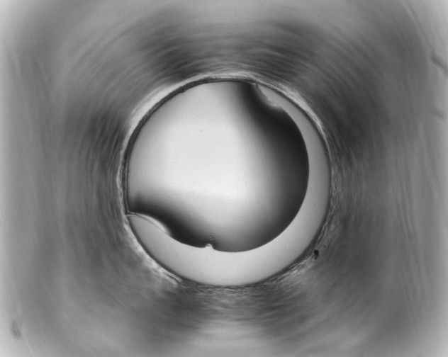 X0000099400959200805291207