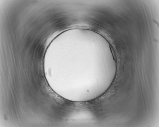 X0000099400960200805291207