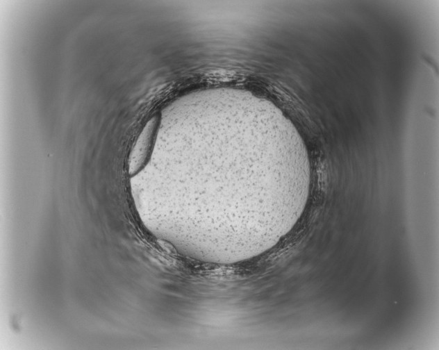 X0000099400961200805291207