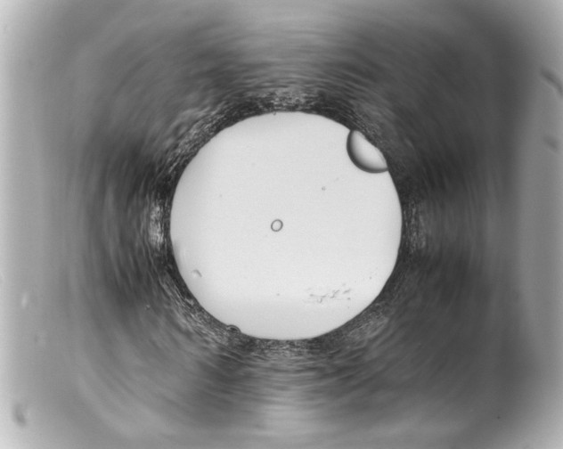 X0000099400962200805291207