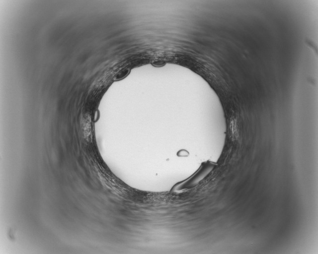 X0000099400963200805291207