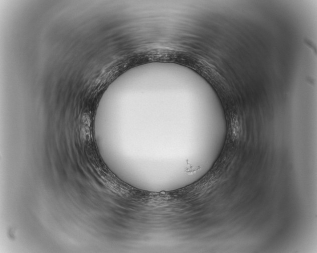 X0000099400964200805291207