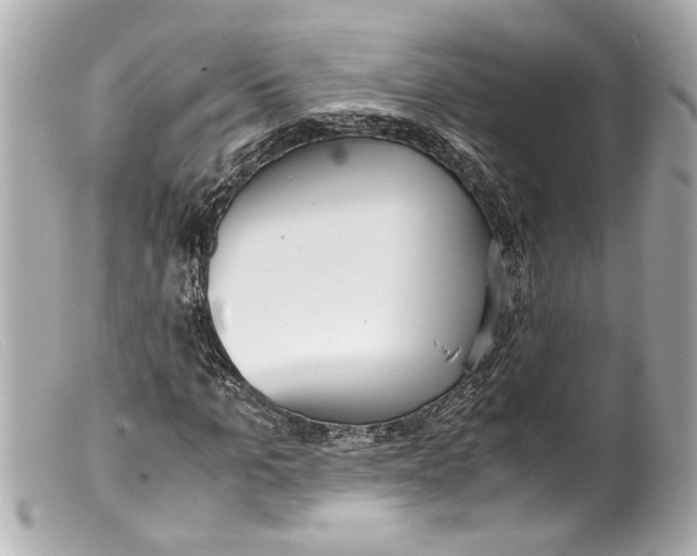 X0000099400965200805291207