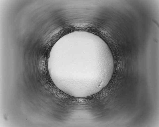 X0000099400966200805291207