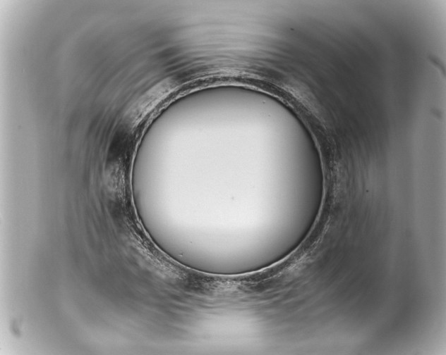 X0000099400969200805291207