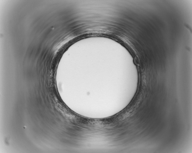 X0000099400971200805291206