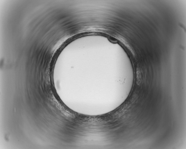 X0000099400972200805291206