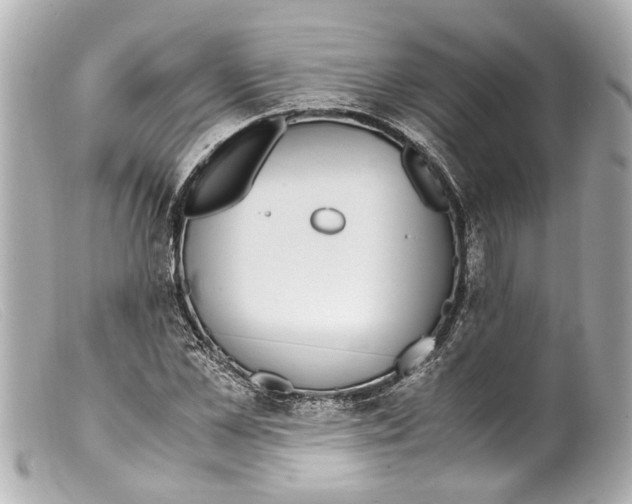 X0000099400973200805291206