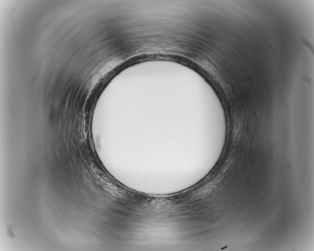 X0000099400974200805291206