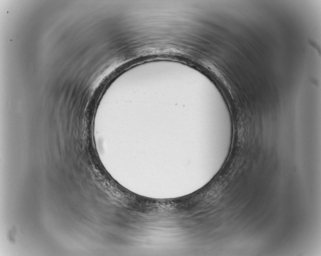 X0000099400975200805291206