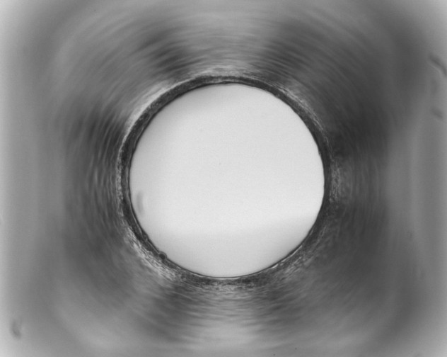 X0000099400976200805291206