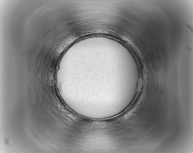 X0000099400977200805291206