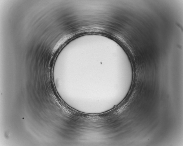 X0000099400978200805291206