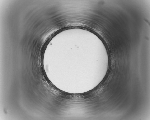 X0000099400979200805291206