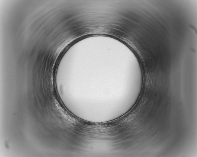 X0000099400980200805291206