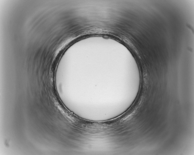 X0000099400981200805291206