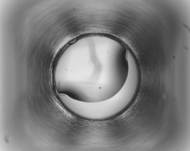 X0000099400982200805291206