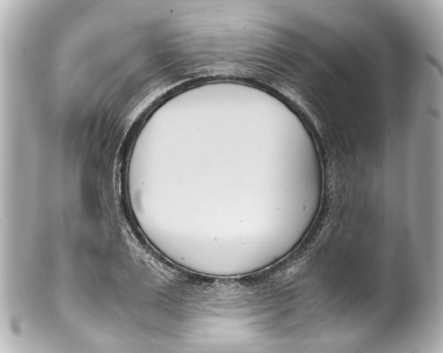 X0000099400983200805291206