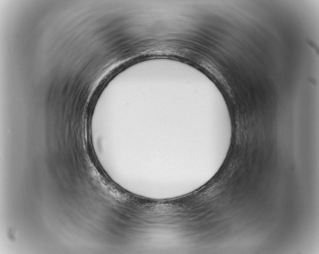 X0000099400984200805291206