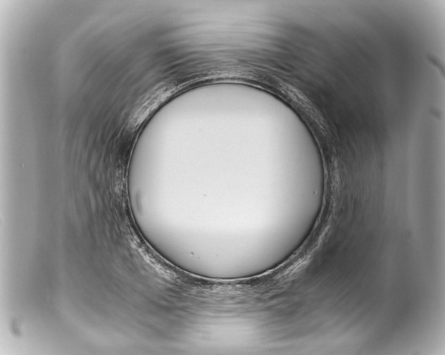 X0000099400985200805291206