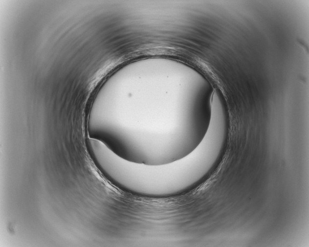 X0000099400986200805291206