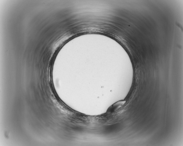 X0000099400987200805291206