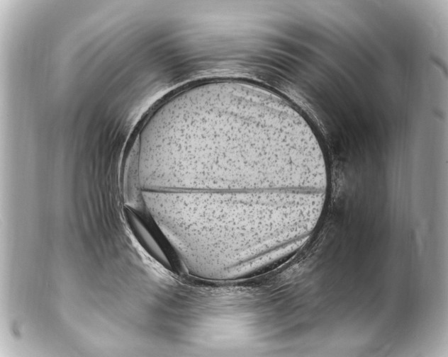 X0000099400988200805291206