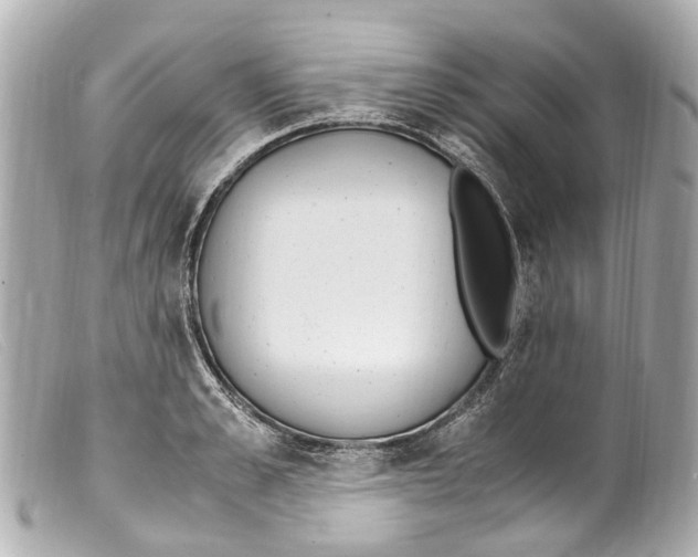 X0000099400989200805291206