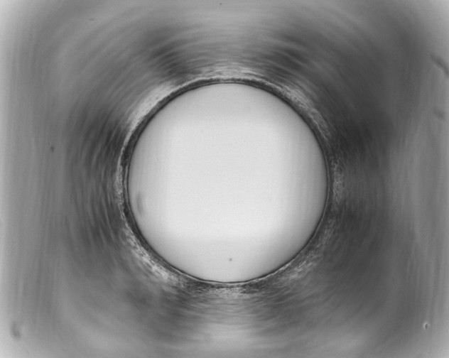 X0000099400990200805291206