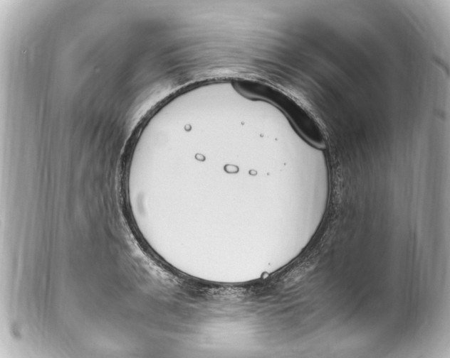 X0000099400991200805291206