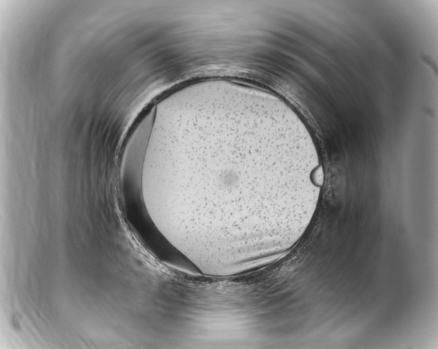 X0000099400992200805291206