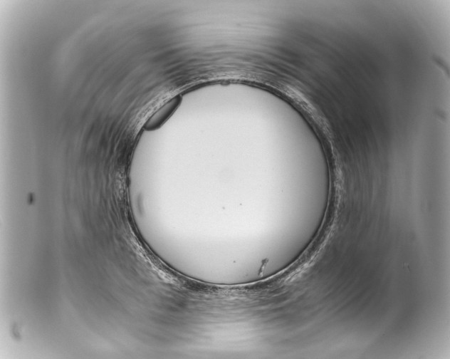 X0000099400993200805291206