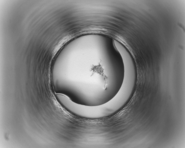 X0000099400994200805291206