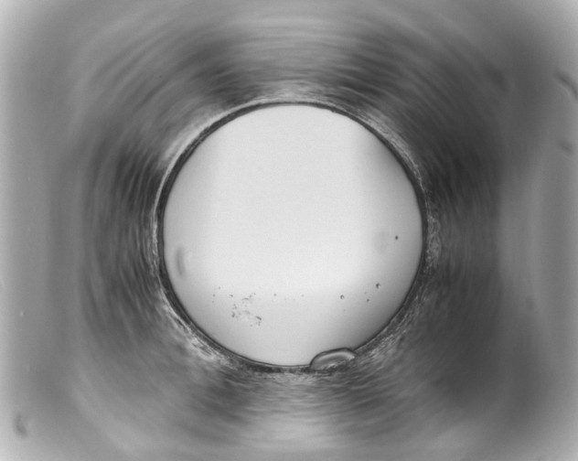 X0000099400996200805291206