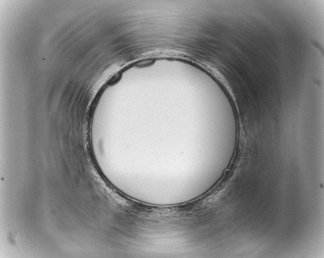 X0000099400997200805291206