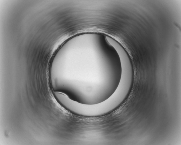 X0000099400998200805291206